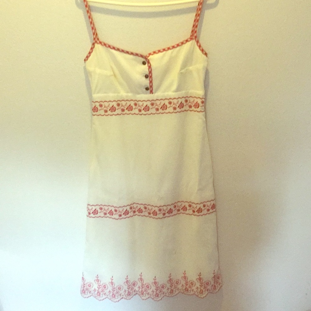 Vintage Picnic Dress